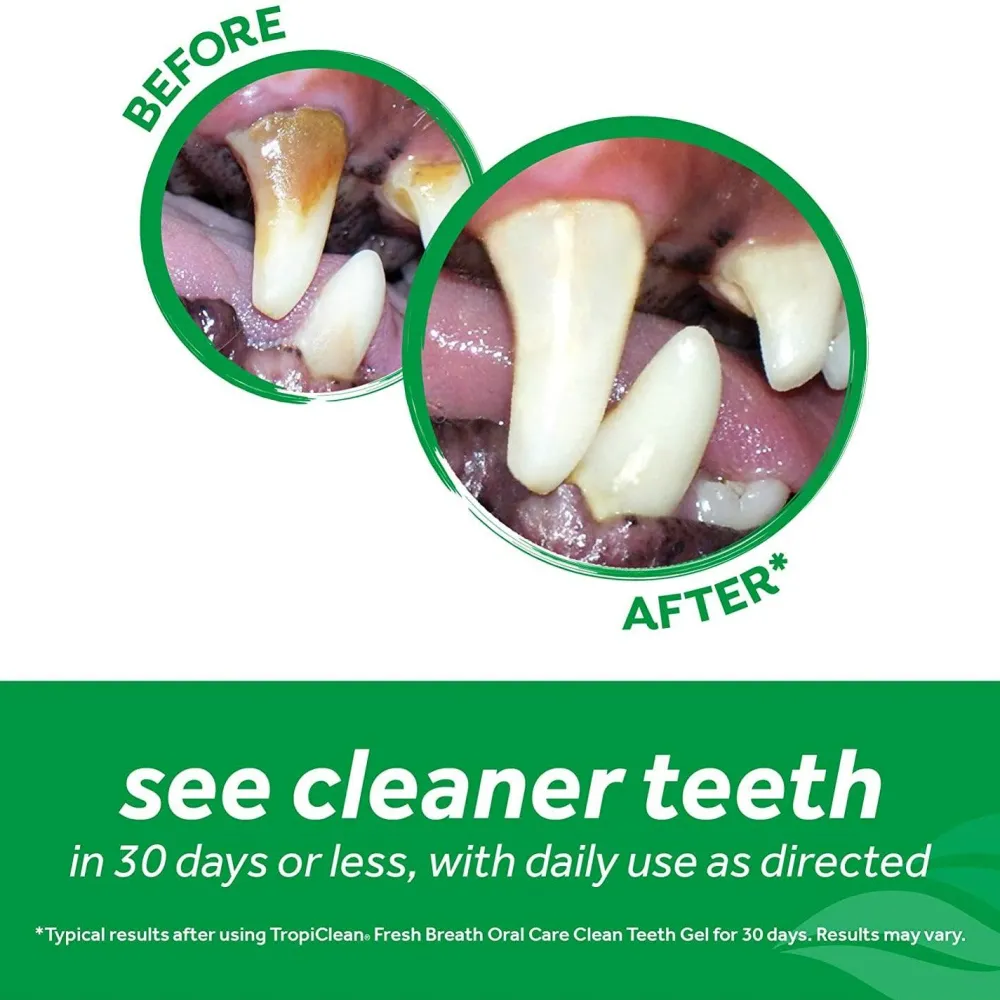 Fashion Fresh Breath Plaque Remover Pet Clean Teeth Gel Supplies Leashes, Collars, Beds, Flea & Tick, Etc.