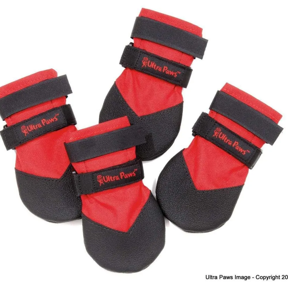 Online Durable Dog Boots Supplies Leashes, Collars, Beds, Flea & Tick, Etc.