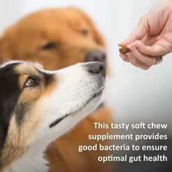 New Veterinary Formula Clinical Care Super Probiotic Supplement Supplies Leashes, Collars, Beds, Flea & Tick, Etc.