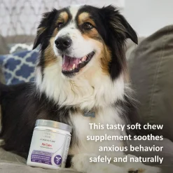 New Veterinary Formula Clinical Care Pet Calm Supplement Supplies Leashes, Collars, Beds, Flea & Tick, Etc.