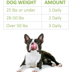 New Veterinary Formula Clinical Care Super Probiotic Supplement Supplies Leashes, Collars, Beds, Flea & Tick, Etc.