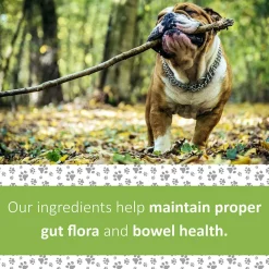 New Veterinary Formula Clinical Care Super Probiotic Supplement Supplies Leashes, Collars, Beds, Flea & Tick, Etc.