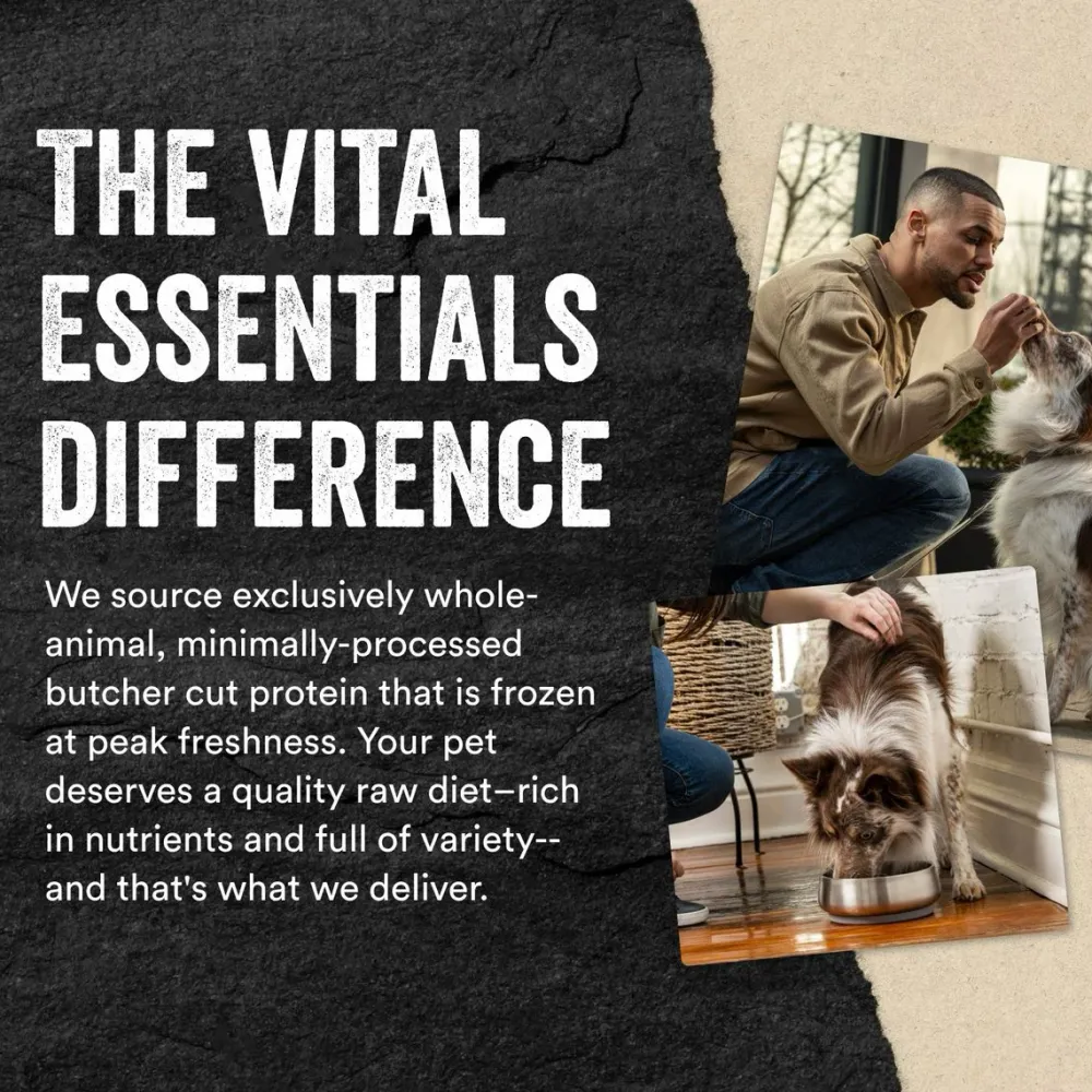 Clearance Freeze Dried Treat Rabbit Bites Treats Treats & Chews