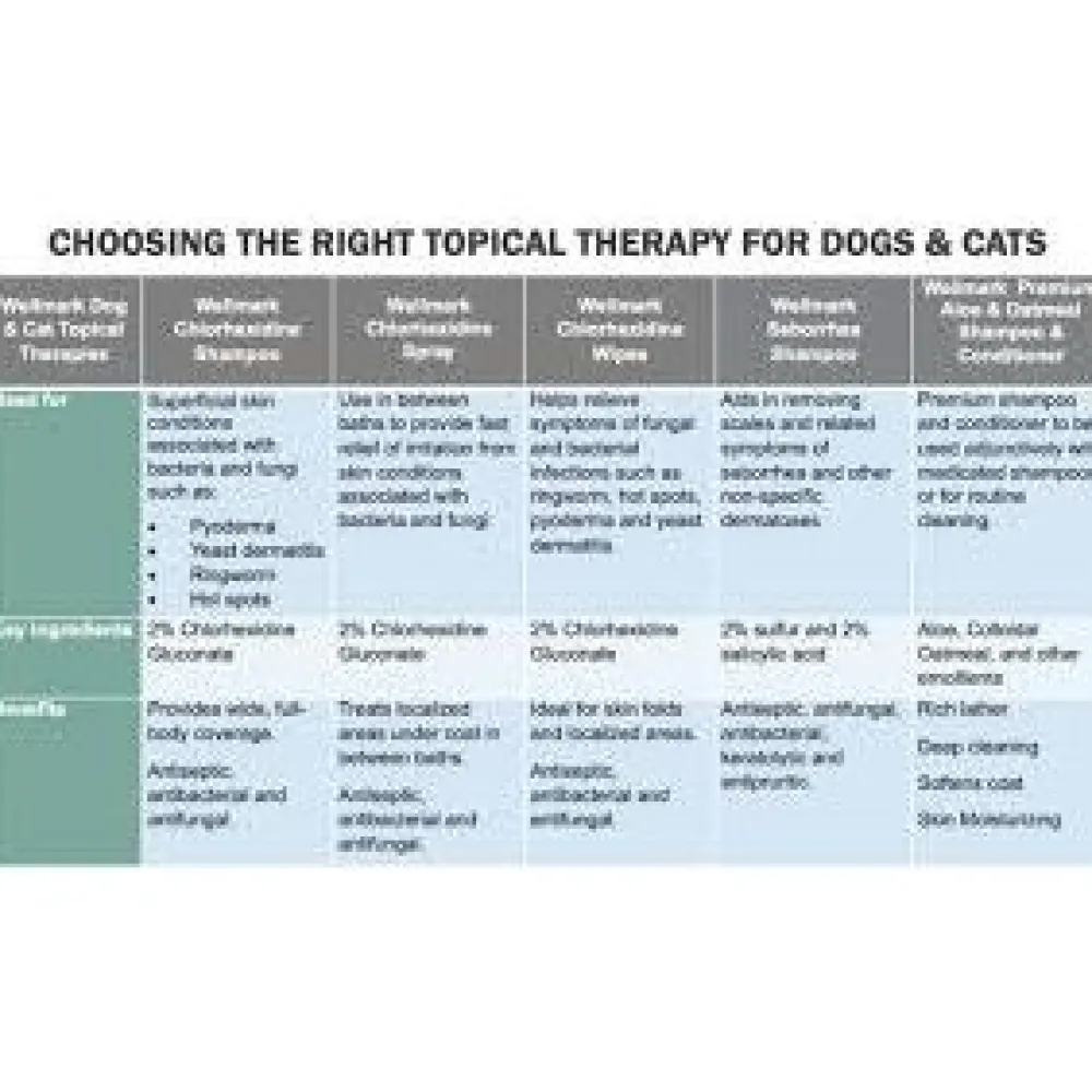 Outlet Chlorhexidine Shampoo Supplies Leashes, Collars, Beds, Flea & Tick, Etc.