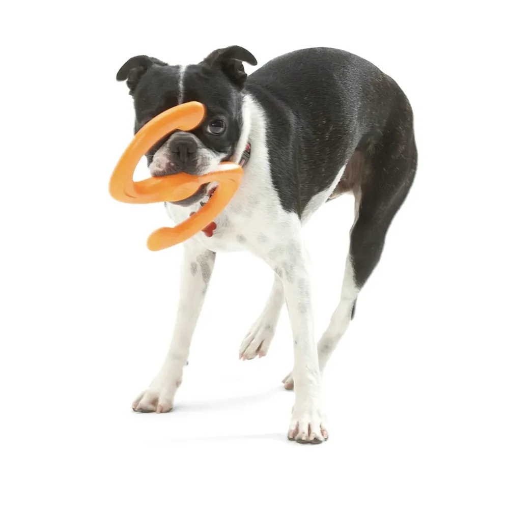 New West Paw Zogoflex Active Bumi Tangerine Supplies Leashes, Collars, Beds, Flea & Tick, Etc. | Toys Interactive, Plush, Etc.