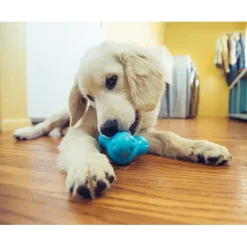 Discount West Paw Zogoflex Chew Tux Aqua Supplies Leashes, Collars, Beds, Flea & Tick, Etc. | Toys Interactive, Plush, Etc.