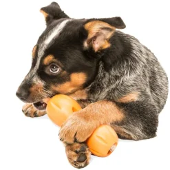 Clearance West Paw Zogoflex Qwizi Tangerine Supplies Leashes, Collars, Beds, Flea & Tick, Etc. | Toys Interactive, Plush, Etc.