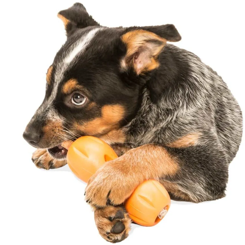 Clearance West Paw Zogoflex Qwizi Tangerine Supplies Leashes, Collars, Beds, Flea & Tick, Etc. | Toys Interactive, Plush, Etc.