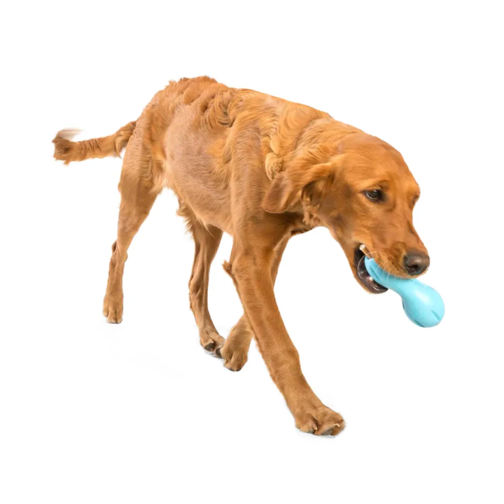 Clearance West Paw Zogoflex Qwizl Aqua Supplies Leashes, Collars, Beds, Flea & Tick, Etc. | Toys Interactive, Plush, Etc.