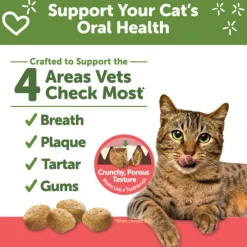 Hot Cat Dental Treats Chicken & Salmon Treats Crunchy, Soft, Lickable, Etc.