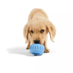 Sale The Pupsicle In Blue Supplies Leashes, Collars, Beds, Flea & Tick, Etc. | Toys Interactive, Plush, Etc.