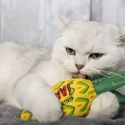 Online Yeowww Pineapple Cat Supplies Collars, Scratchers, Toys, Etc.