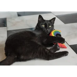 Discount Yeowww Rainbow Cat Supplies Collars, Scratchers, Toys, Etc.