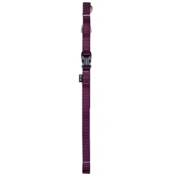 Discount Nylon Dog Leash Royal Purple Supplies Leashes, Collars, Beds, Flea & Tick, Etc.