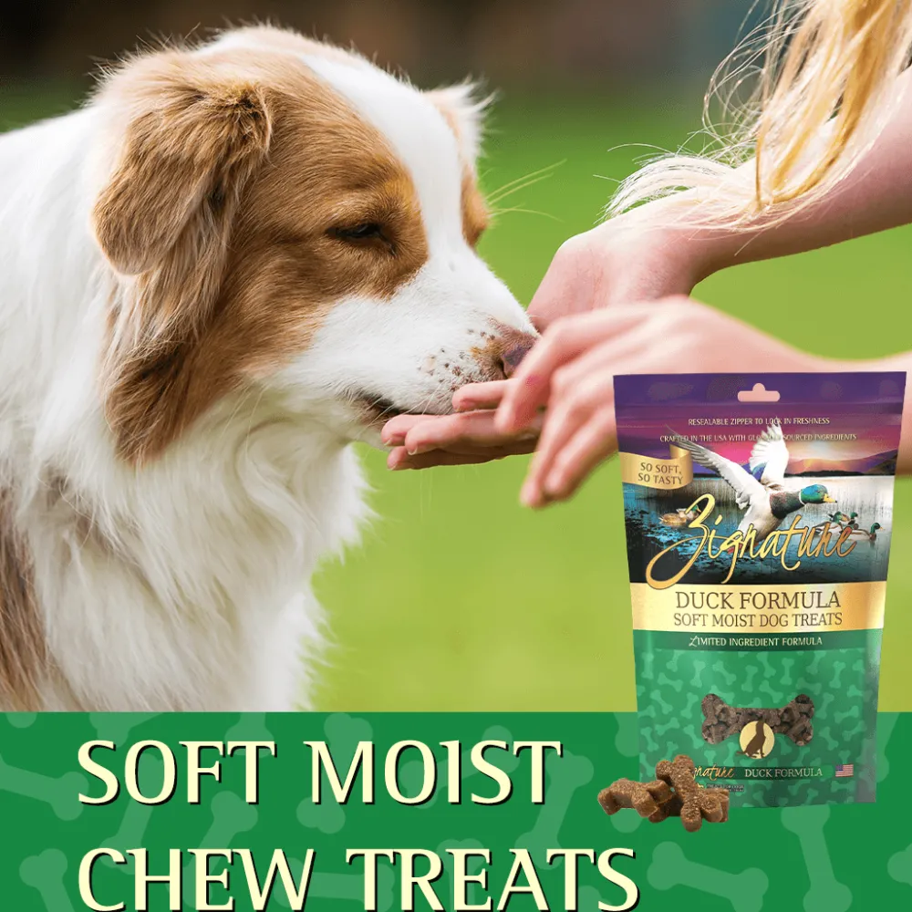 Clearance Duck Formula Soft Moist Treats for Dogs Treats Treats & Chews