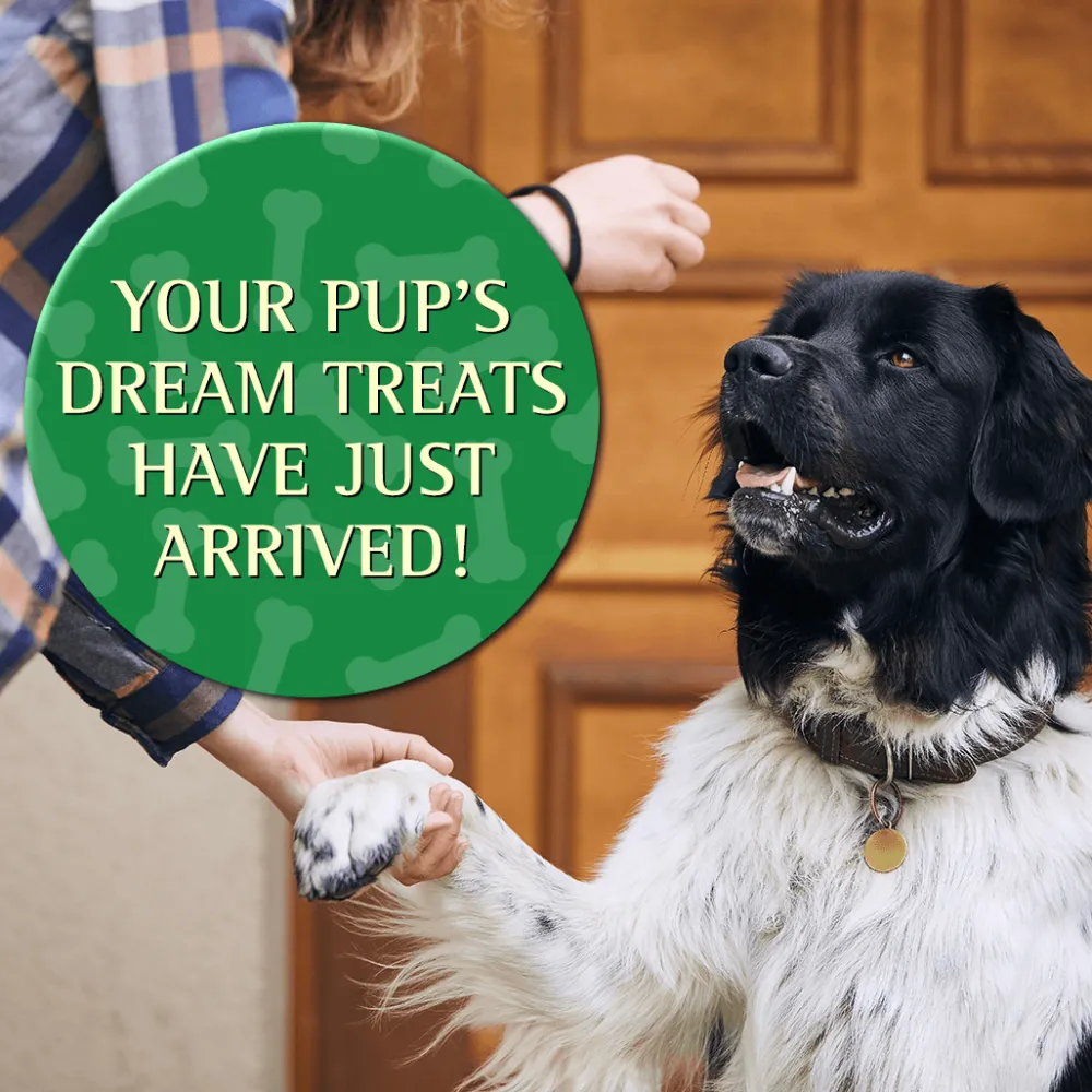 Clearance Duck Formula Soft Moist Treats for Dogs Treats Treats & Chews