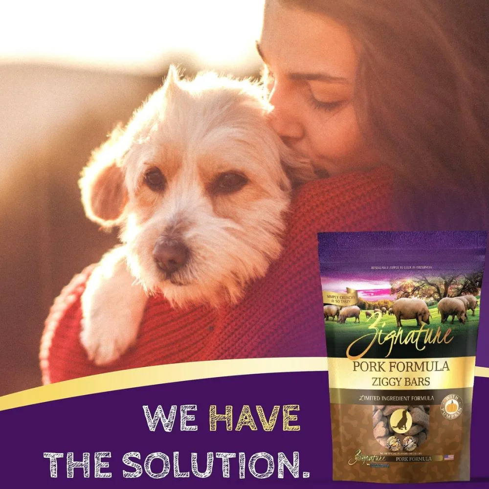 Online Pork Formula Biscuit Treats for Dogs Treats Treats & Chews