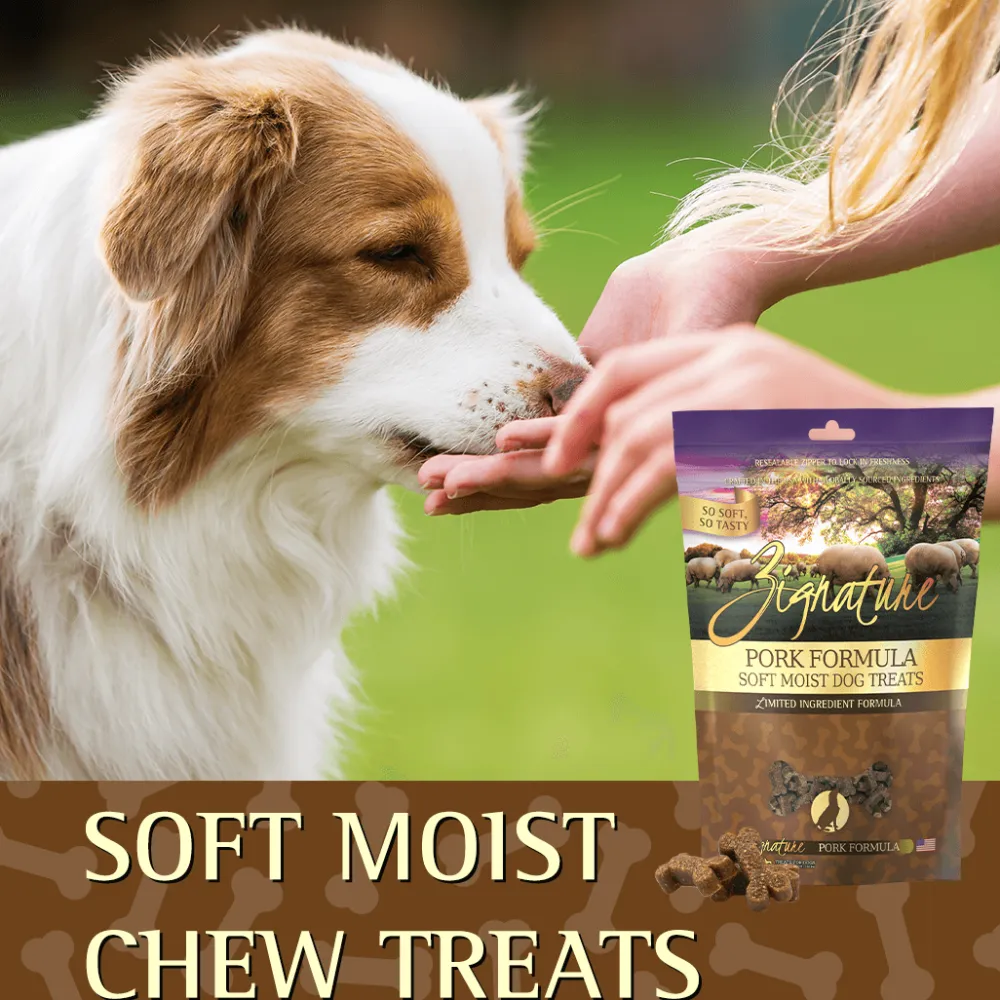 Clearance Pork Formula Soft Moist Treats for Dogs Treats Treats & Chews