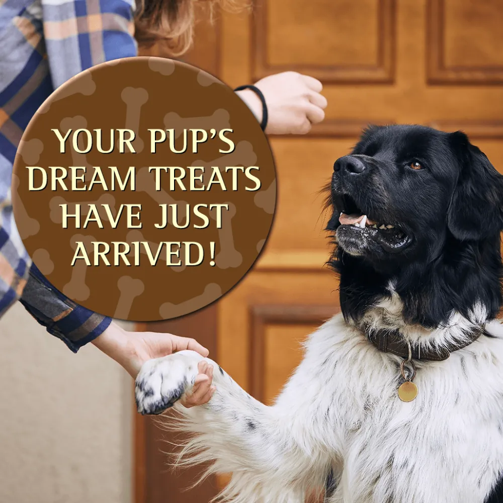 Clearance Pork Formula Soft Moist Treats for Dogs Treats Treats & Chews