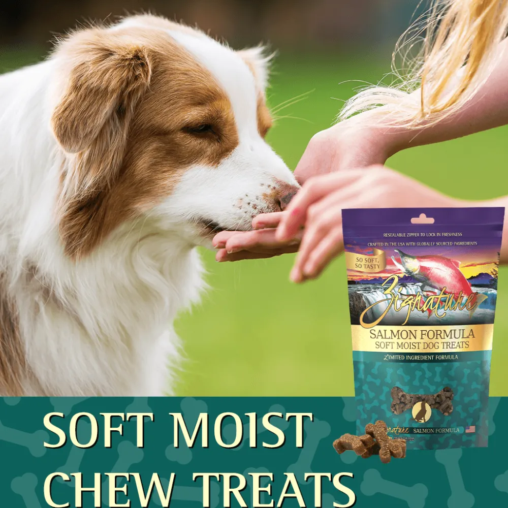 Fashion Salmon Formula Soft Moist Treats for Dogs Treats Treats & Chews
