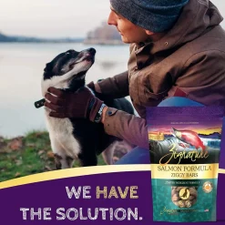 Fashion Salmon Formula Biscuit Treats for Dogs Treats Treats & Chews