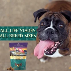 Fashion Salmon Formula Soft Moist Treats for Dogs Treats Treats & Chews