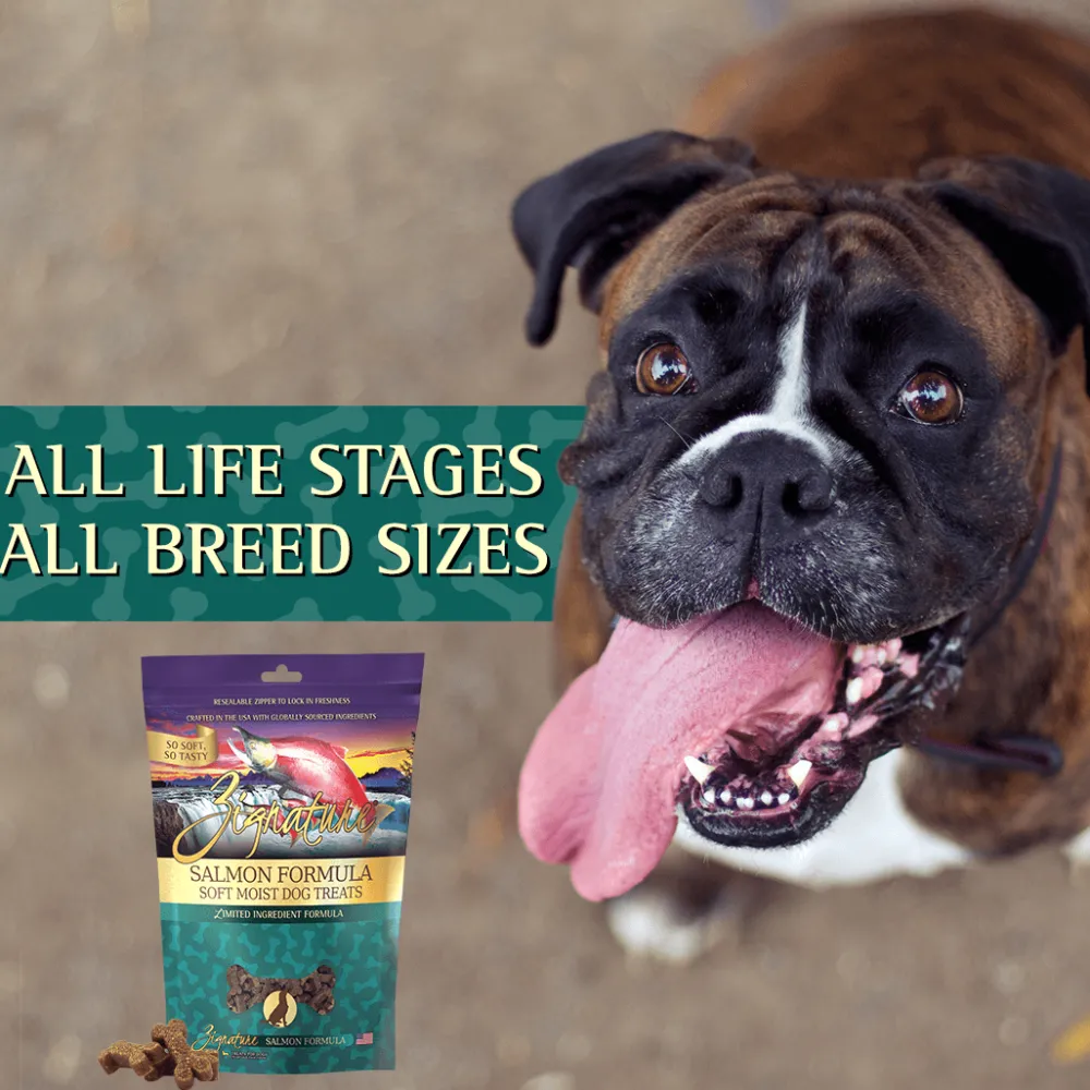 Fashion Salmon Formula Soft Moist Treats for Dogs Treats Treats & Chews